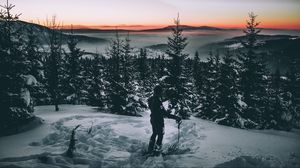 Превью обои лыжник, снег, зима, деревья