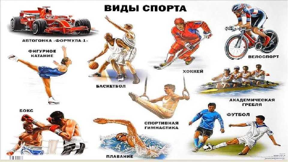 3 типы спорта