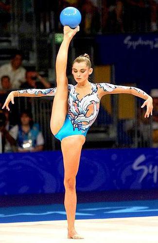 Барсукова гимнастика художественная