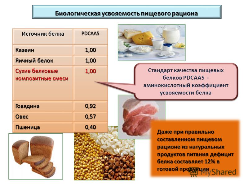 Соотношение растительного и животного белка в рационе. Белки для организма продукты. Содержание белков в организме. Усвояемость белков. Усвояемость продуктов питания.