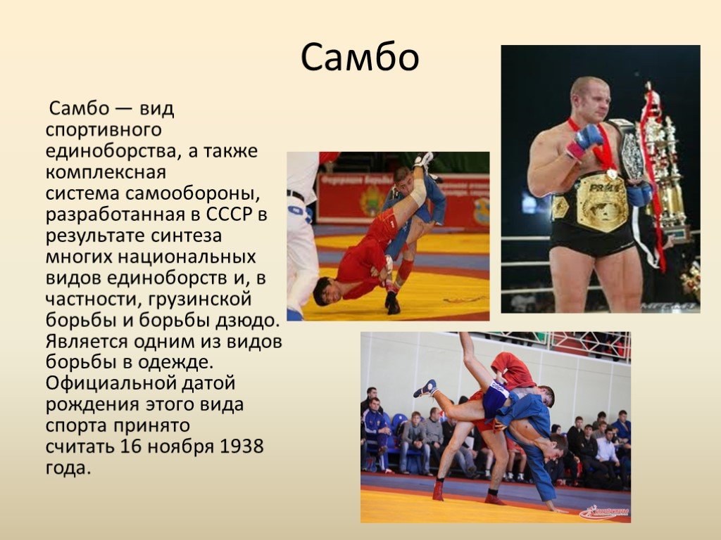 Термины самбо. Самбо вид спорта. Самбо национальный вид спорта. Виды борьбы в спорте. Виды боевых искусств.