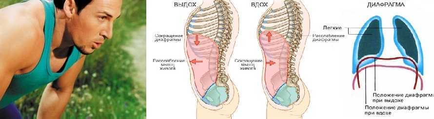 При правильном дыхании вдох. Техники дыхания при беге. Бег правильное дыхание техника. Правильная техника дыхания при беге. Как правильно дышать во время бега.