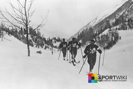 Лыжи и стрельба вид спорта