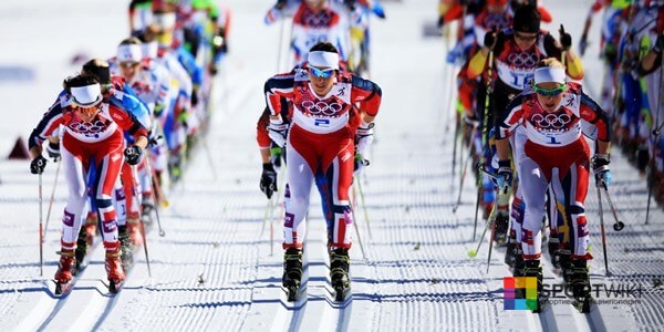 Лыжный спорт лыжные гонки