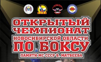 Чемпионат Новосибирской области по боксу памяти МС СССР Виктора Матвеева