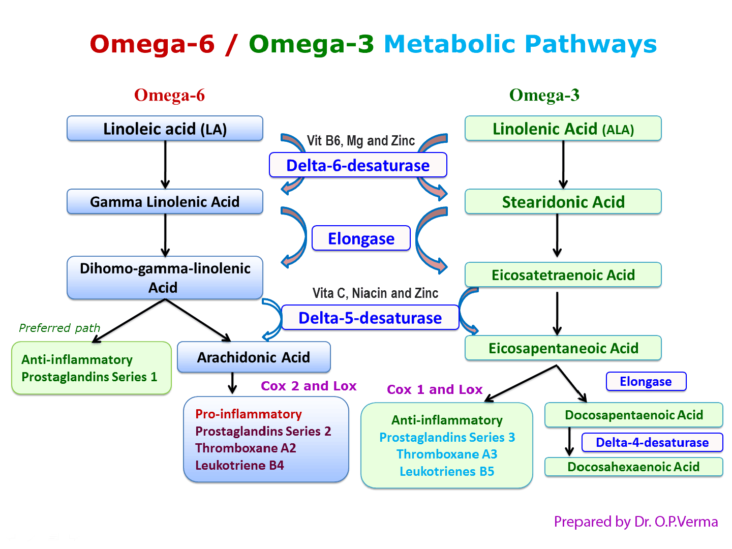Омега 6 жирные кислоты метаболизм. Механизм действия Омега-3 жирных кислот. Омега-3 полиненасыщенные жирные кислоты механизм действия. Омега 3 ПНЖК механизм действия.