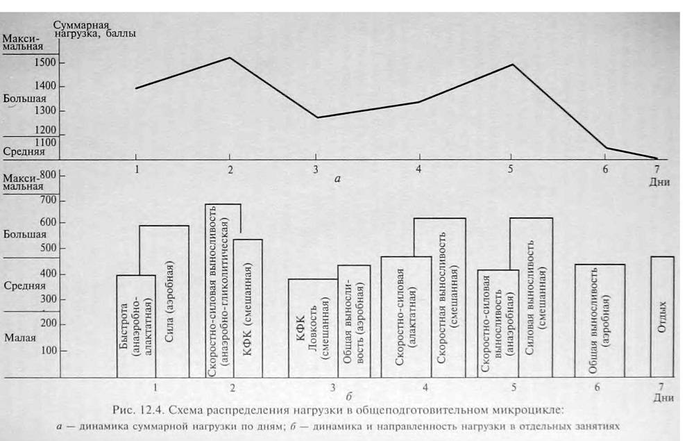 Циклы подготовки спортсменов. Схема динамики нагрузок в макроциклах. Мезоцикл в тренировочном процессе. Схема тренировочного процесса. Схема тренировочного мезоцикла.