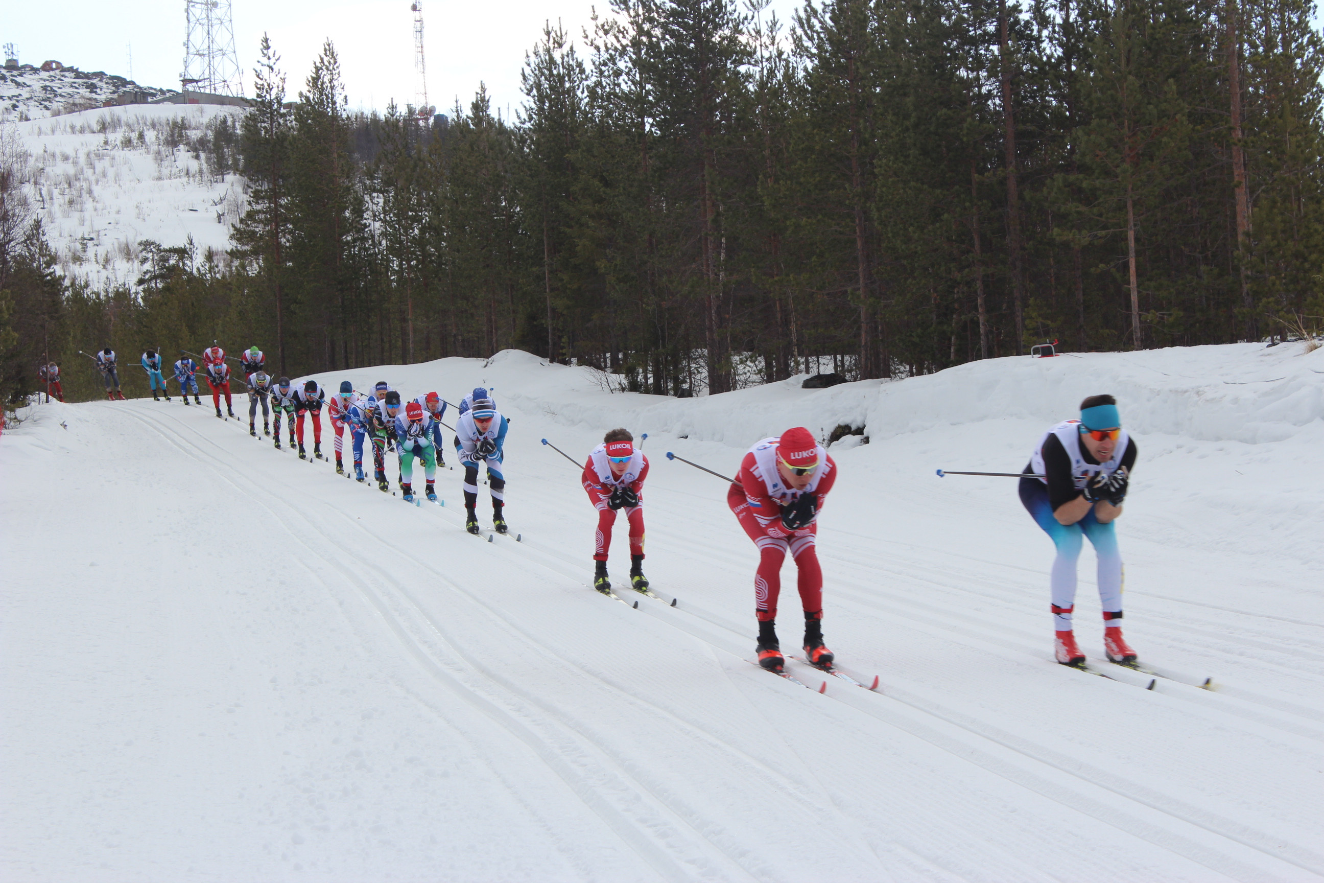 Лыжный спорт в кольском. Спортсмены зимних видов спорта. Мончегорск лыжная трасса. Спортивный февраль. Мурманская область зимой.