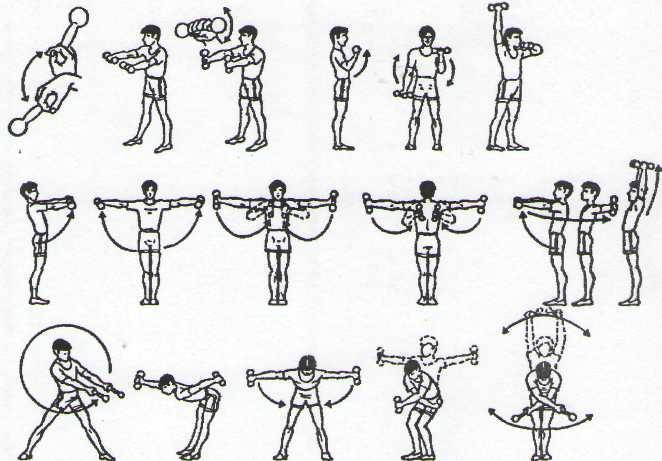 Зарядка с гантелями дома. Комплекс гантельной гимнастики для мужчин. Комплекс упражнений гантельной гимнастики. Комплекс общеразвивающих упражнений с гантелями 10-12 упражнений. Комплекс упражнений с гантелями (10-12 упражнений).
