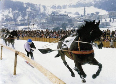 Лыжные гонки на лошадях (Скъёринг) - современные соревнования
